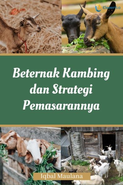 Beternak Kambing dan Strategi Pemasarannya